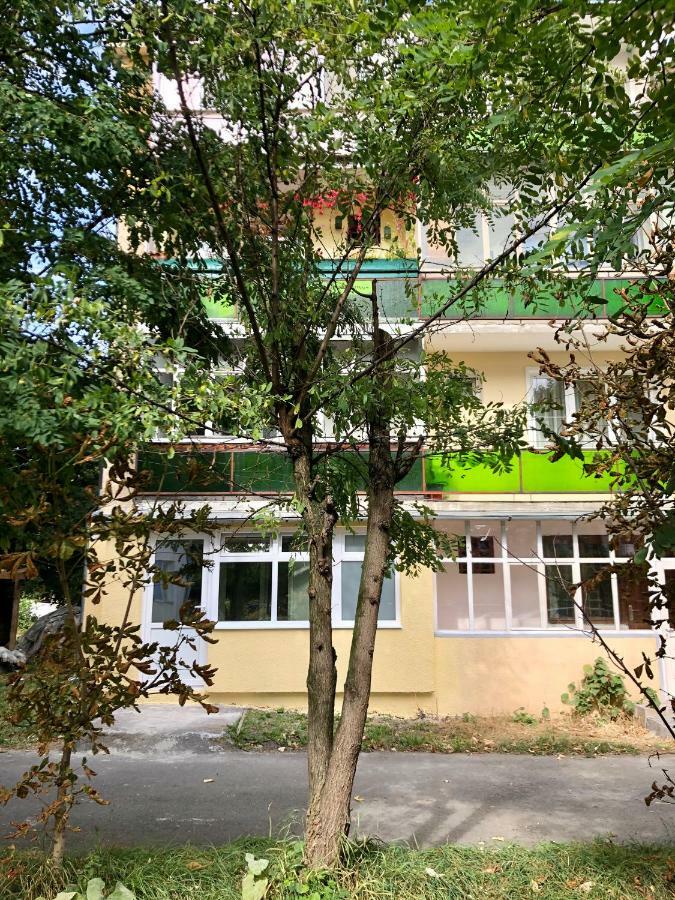 Apartament Toplita Dış mekan fotoğraf